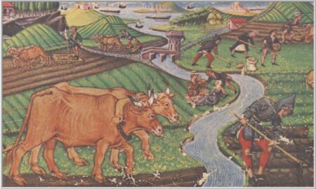 Agricultura în urmă cu 700 de ani, sursă foto pinterest