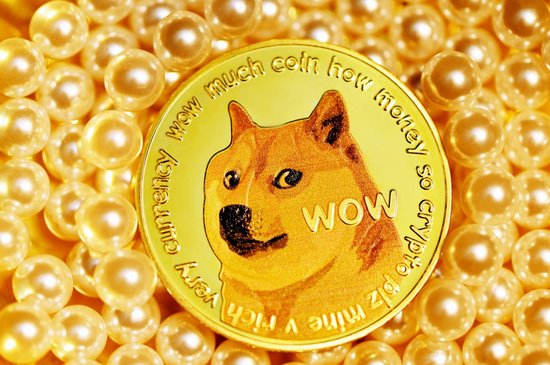 Dogecoin, sursă foto unsplash