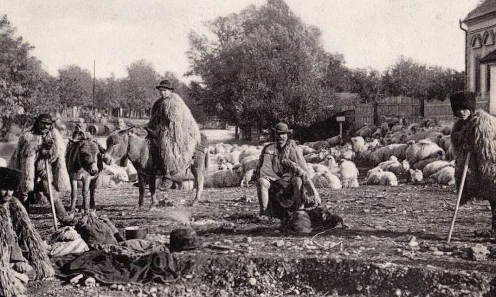 Băncile populare din timpul lui Carol I. Cum finanțau țăranii munca pământului