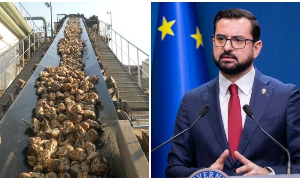 Statul cumpără fabrica de zahăr din Luduș. În ce stadiu se află acest proces
