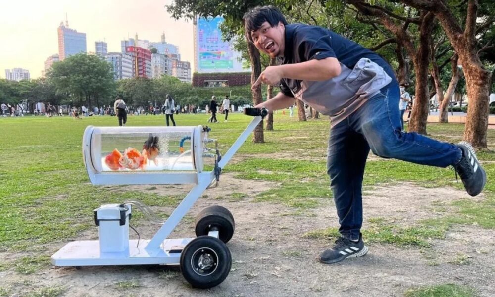 Plimbându-l pe Nemo. Cu lesă sau fără?