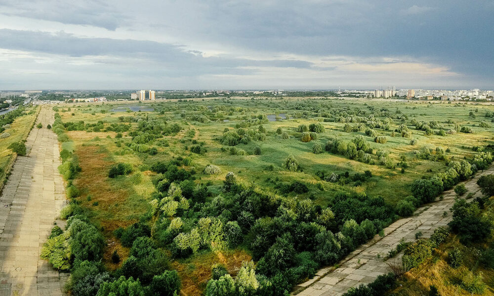 Un nou program se desfășoare în weekend în Parcul Văcărești