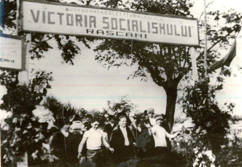 Una dintre primele gospodării colective deschise în România, în Rășcani, Vaslui, 1949, sursă foto fototeca IICCMER