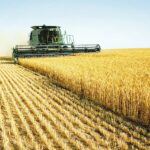 Agricultura in Ucraina