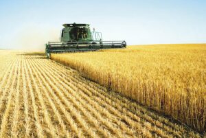 Agricultura in Ucraina