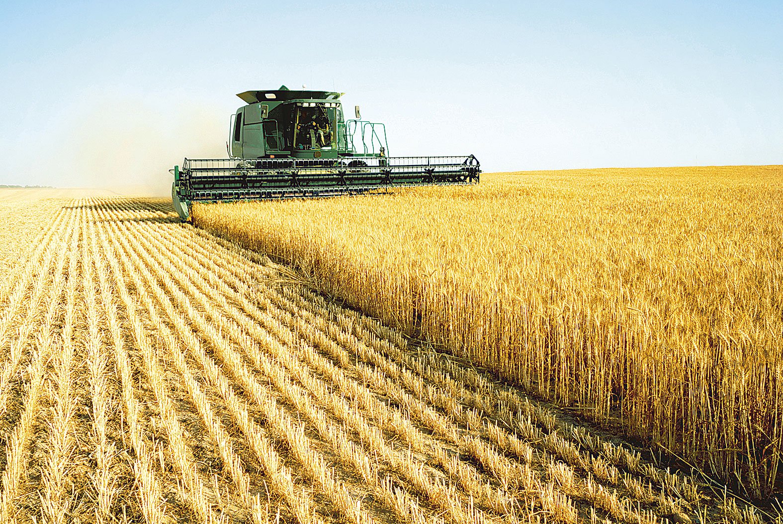 Agricultura in Ucraina