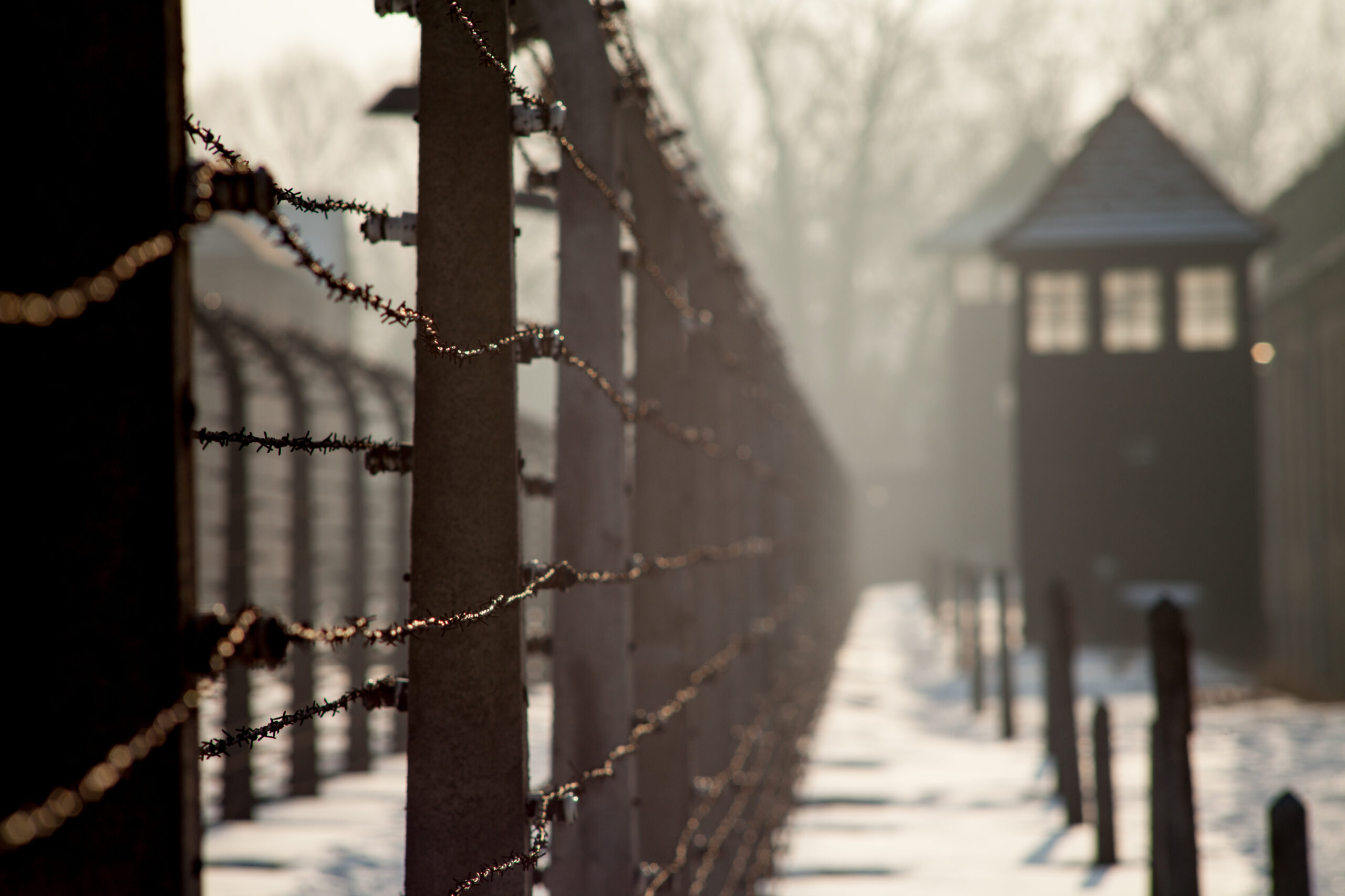 Muzeul Auschwitz, holocaust, sursă foto dreamstime