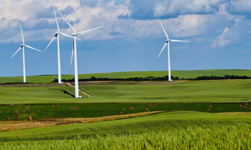 Transelectrica afectată de explozia energiei regenerabile. Ce sumă trebuie investită în următorii ani