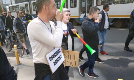Protestatar STB