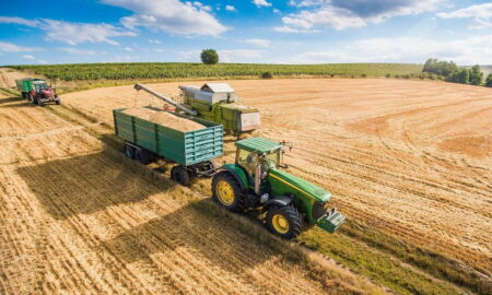 Piața agricolă din România are un nou jucător! Este dintre cei mai mari patru traderi agricoli din lume