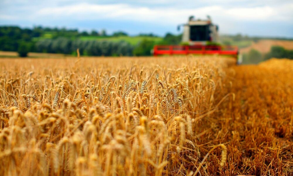 Probleme pentru Zelenski! Importurile de mărfuri agricole din Ucraina scad