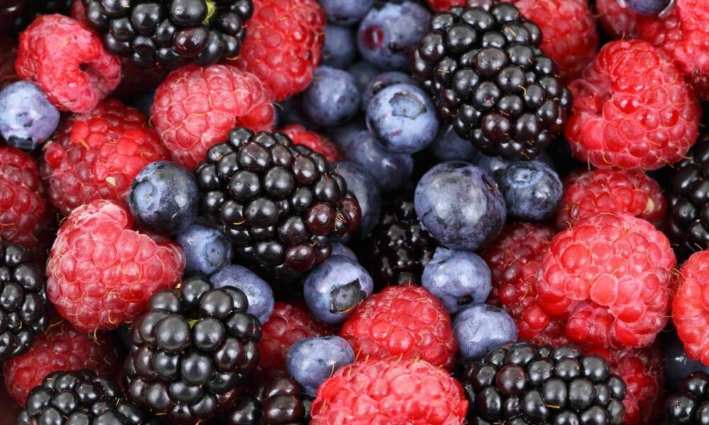 Afacere cu fructe de pădure! Pe lângă sănătate pot aduce și bani