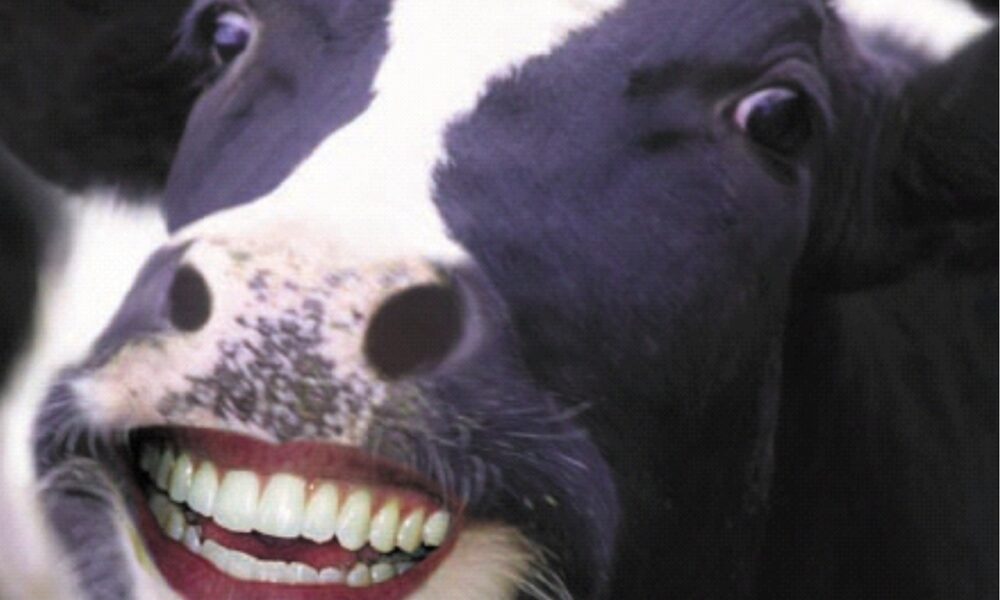 Țicneala lovește la vârful G7. Liderii celor mai industrializate țări vor păpa mai vegan. ”Cow Life Matters”