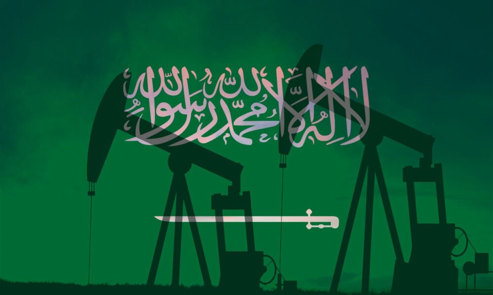 Cât controlează statul din economia Arabiei Saudite? Cum sunt organizate instituțiile țării și cum este încurajat capitalul privat