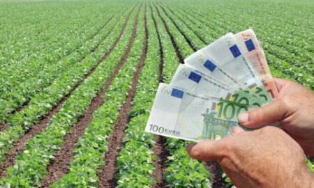 Bani pentru agricultură Sursa foto Economica.net