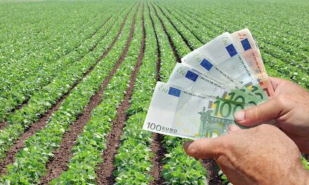 Bani pentru agricultură Sursa foto Economica.net