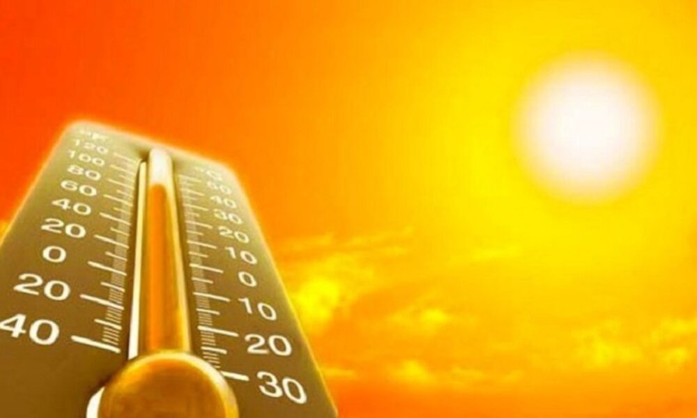 Guvernul, pus în gardă! Fenomenul „El Nino” aduce temperaturi record. Măsuri speciale