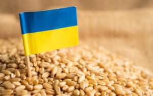 Cereale din Ucraina - sursa foto - stirileprotv.ro