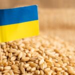 Cerealele ucrainene Sursa foto Stirile ProTV