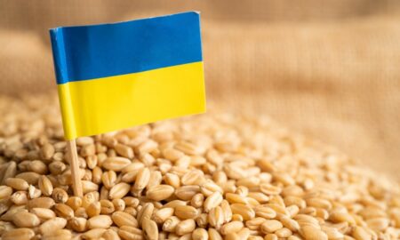 Cereale ucrainene Sursa foto Stirile ProTV