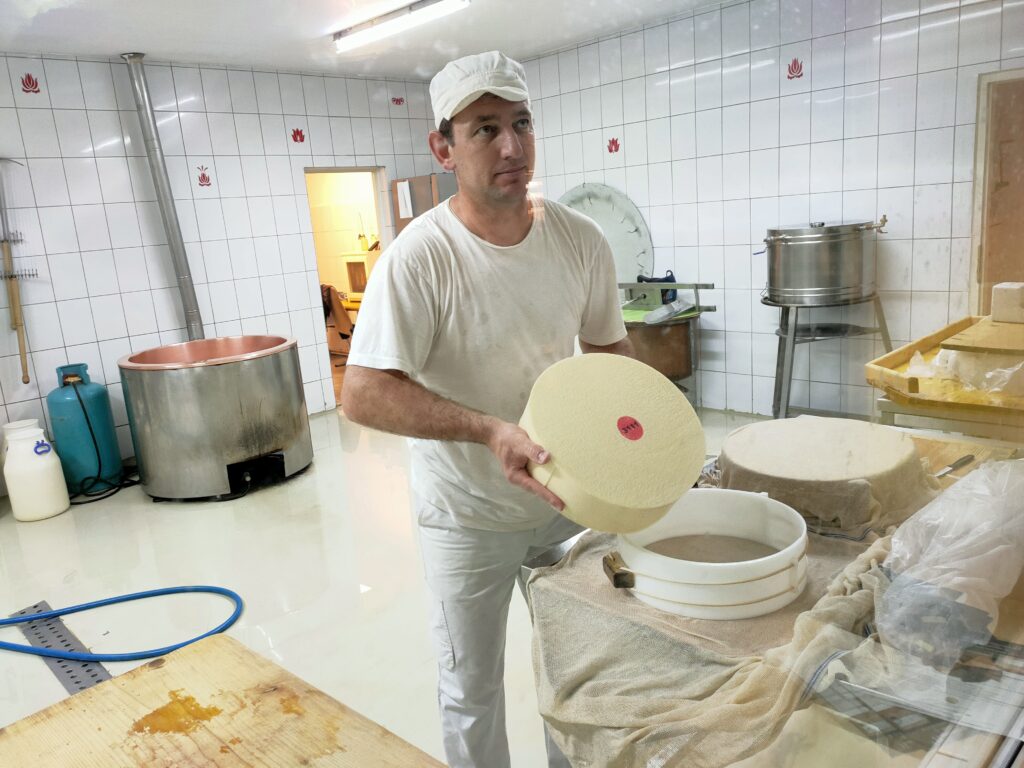 Roată de brânză sursă foto infofinanciar.ro