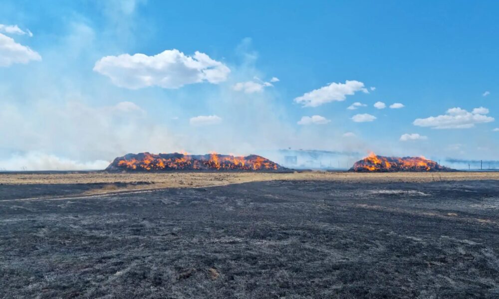 Simulări de război la Babadag! Exercițiile soldaților francezi au incendiat sute de hectare de teren și au distrus trei stâne