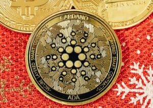 cardano, sursă foto unsplash