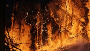 incendii spania sursa jurnalul.ro