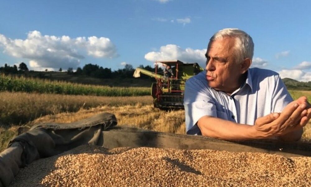 Nu avem curent și gaze, dar măcar avem pâine! Veștile lui Petre Daea privind recoltele din România
