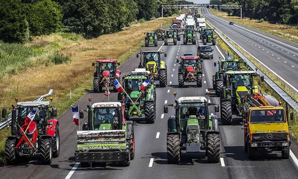 Fermierii în prag de disperare! Reducerea numărului de animale cu 30% i-a scos în stradă