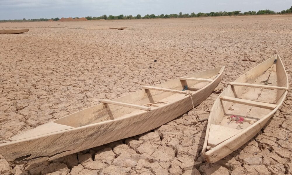 Forumul Economic Mondial despre riscurile globale. Până în 2024, economia lumii va scădea considerabil!