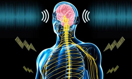 Dureri cronice Sursa foto SciTechDaily