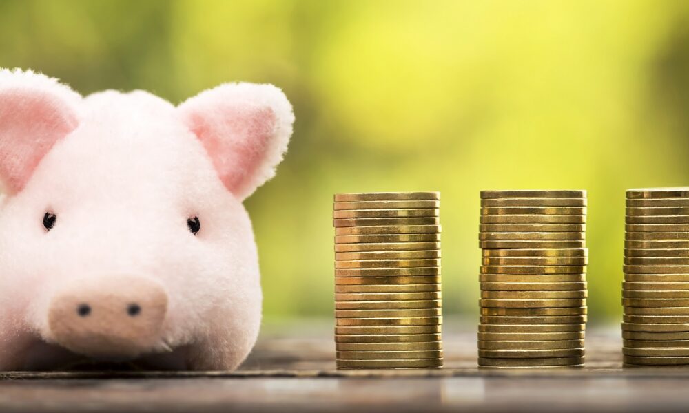 Gospodăriile din zona euro vor continua să economisească