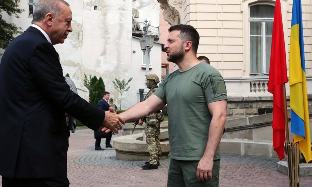 Zelenski, din nou la Erdogan! Problema cerealelor continuă