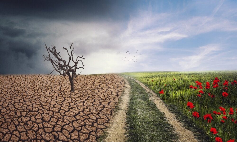 Șeful ONU despre catastrofă climatică spre care ne îndreptăm! „Avem nevoie de  priorități pentru climă”