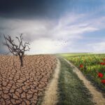 Schimbari climatice Sursa foto Playtech.ro