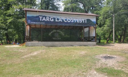 Targ la Costești