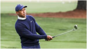 Woods Sursa foto Marca
