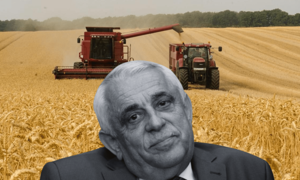 Mai puțin grâu, mai multe probleme! Ce transmite Petre Daea, ministrul Agriculturii