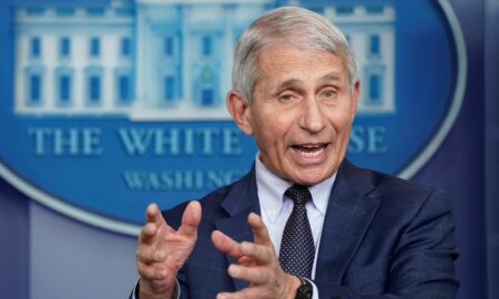 fauci -cnbc.com