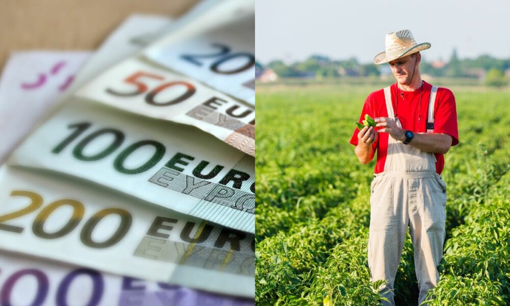 Fermierii vor primi bani. Ajutorul este acordat pentru creșterea animalelor