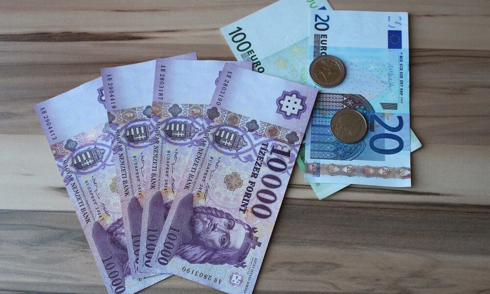 Analiză: Pe fondul oscilațiilor din ultima vreme, unii unguri își pierd încrederea în forint