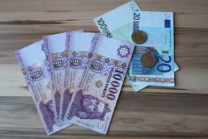 forint sursa profit.ro