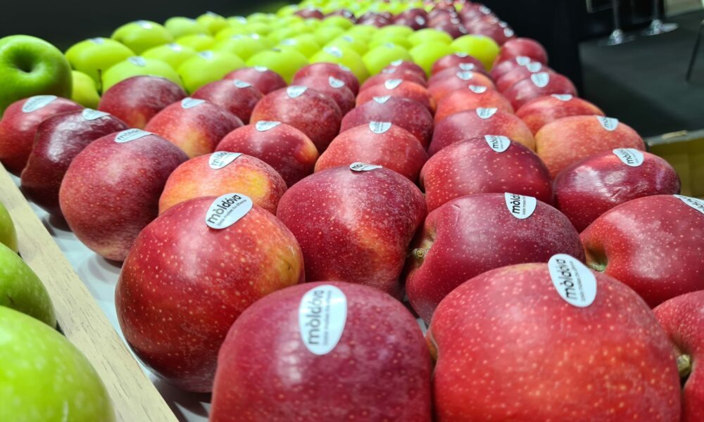 REUTERS: Răspunsul dur al Rusiei împotriva Chișinăului! Moscova nu mai acceptă produse agricole moldovenești