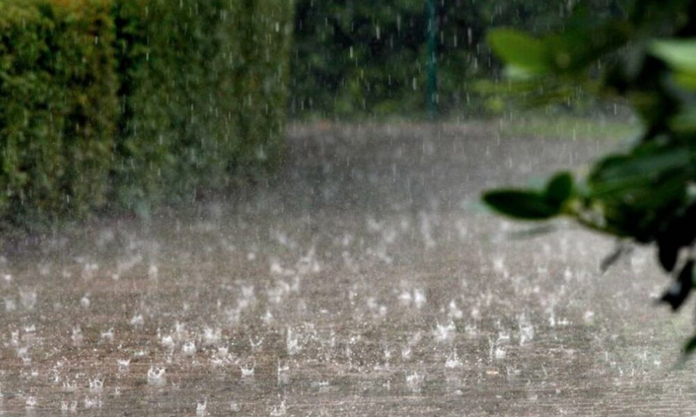 Prognoza meteo de mâine, 13 ianuarie! Nu scăpăm de vânt și ploaie