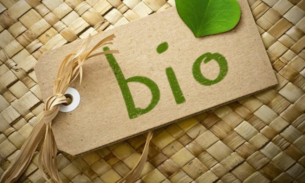 Produsele BIO înseamnă alimente sănătoase? 