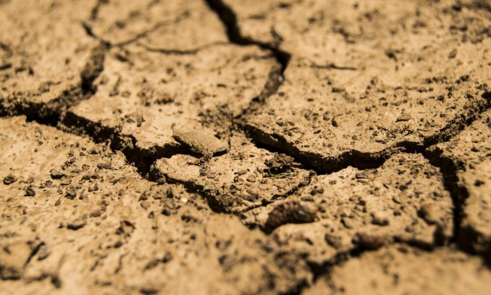 7 ani de pârjol în Europa. Seceta ne va chinui cel puțin până în 2030