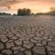 Europa se confruntă cu „cea mai gravă secetă din ultimii 500 de ani”. Ce sectoare au fost afectate?
