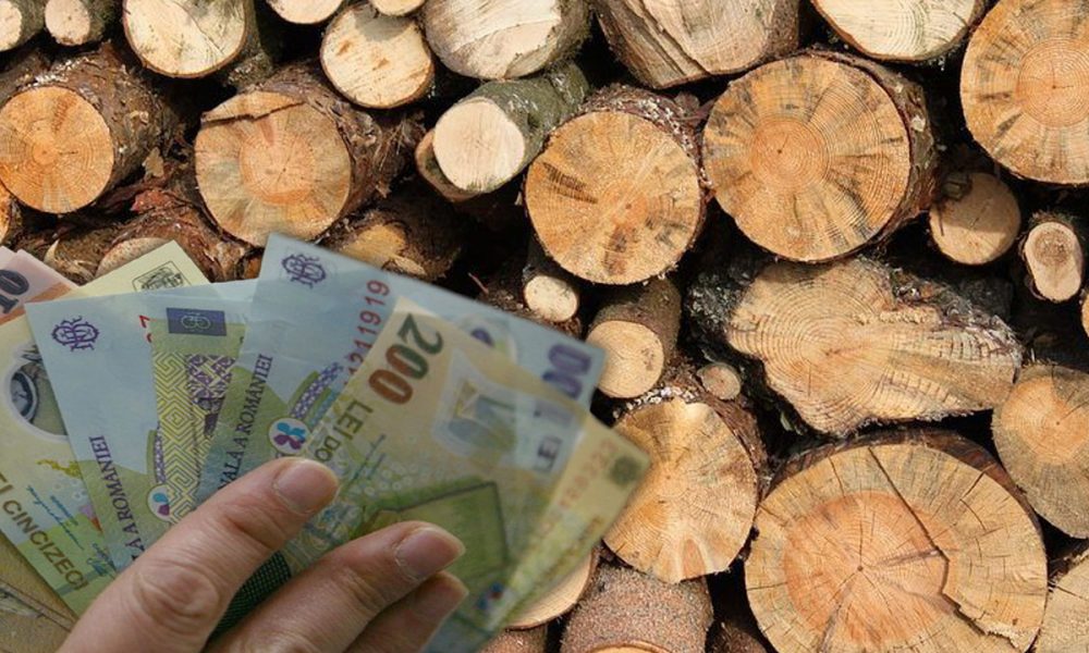 Prețul lemnului de foc a explodat! Metrul cub a ajuns mai scump ca afară