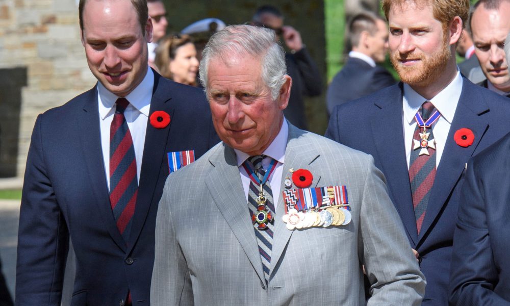 Relația monarhului Charles al III-lea cu fiii săi. Prințul Harry, băiatul problemă, dar protejatul reginei Elisabeta a II-a